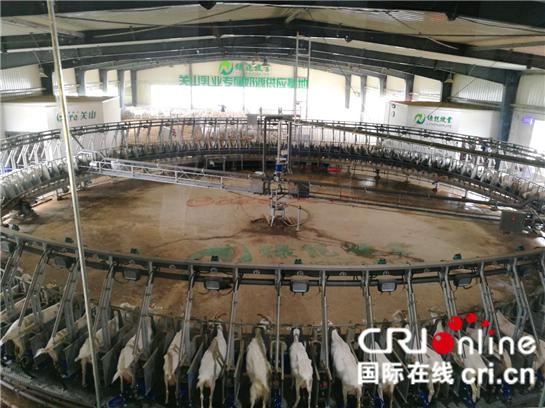 杨凌“大学推广模式”获赞 助力陇县打造百亿生态乳都